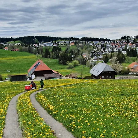 Sonnengelb Im Herzen Des Schwarzwaldes Schoenwald im Schwarzwald