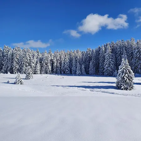 Casa de Férias Sonnengelb Im Herzen Des Schwarzwaldes