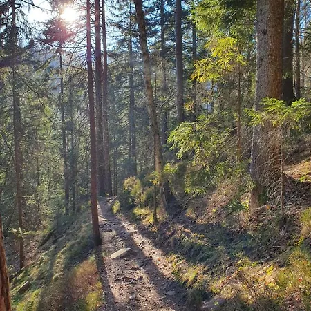 Sonnengelb Im Herzen Des Schwarzwaldes Holiday home Schoenwald im Schwarzwald