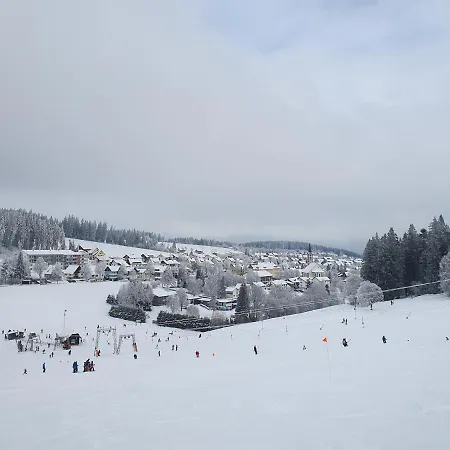 Sonnengelb Im Herzen Des Schwarzwaldes *