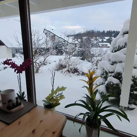 Sonnengelb Im Herzen Des Schwarzwaldes Schönwalde